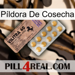 Píldora De Cosecha 41